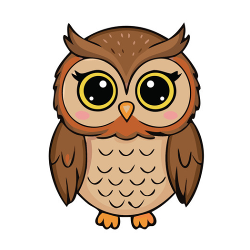 owl.png