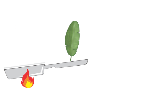 LOGO (1).png