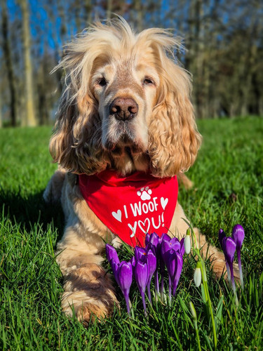 HBIp1bPbgAA xT0?format=jpg.jpg