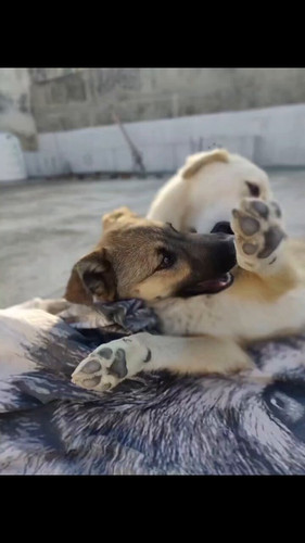 rHJb fo wG3D1EUX.jpg