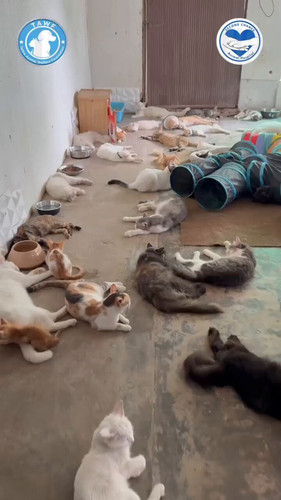 WGY0BbXCOFvp F99.jpg