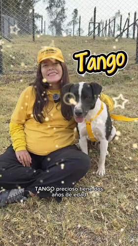 vZVswEkWns Zup0i.jpg