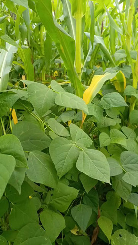 s3N13QAPgSBd7c 8.jpg