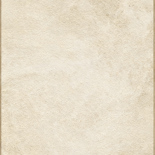 IMG 20260216 090728.png