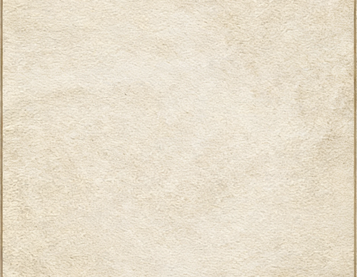 IMG 20260216 090831.png