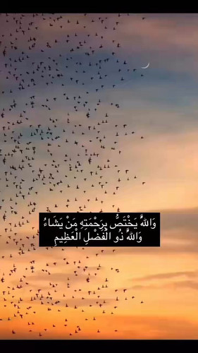 x6eg6 9gIvE6l7Na.jpg