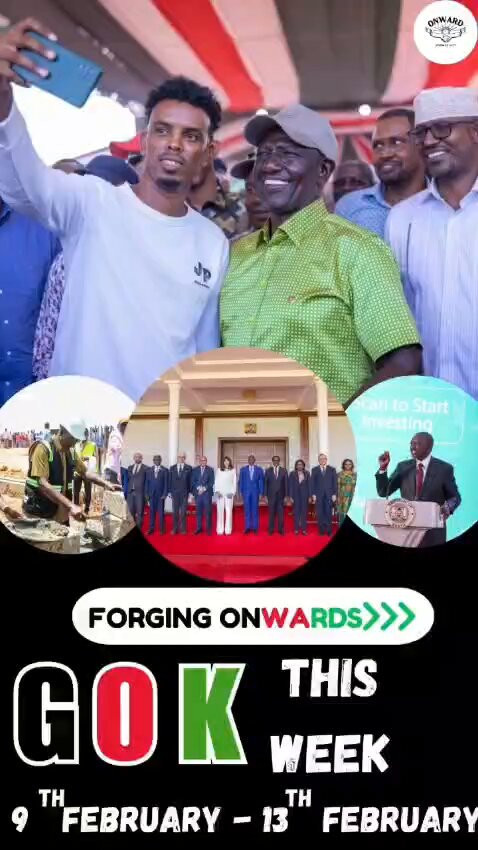 KsmDx 8bJzKkTcNP.jpg