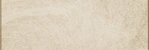 IMG 20260216 090510.jpg