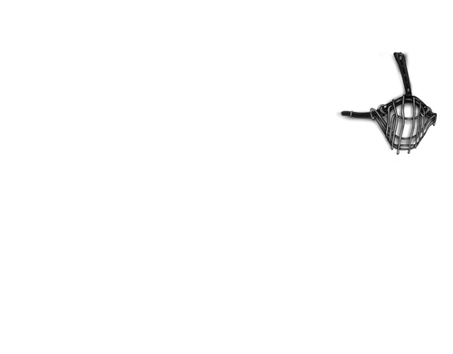 mngwa experiments fem.png