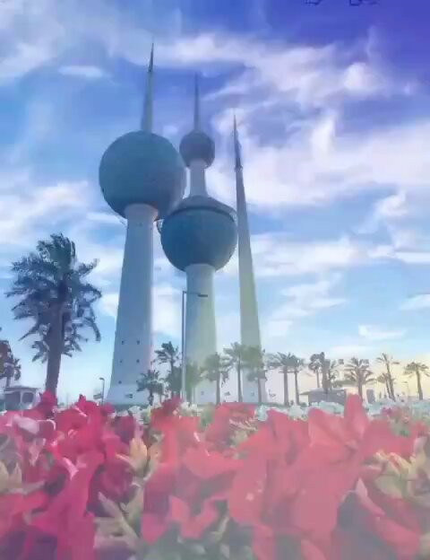 zWbE25PUOFZq E6s.jpg