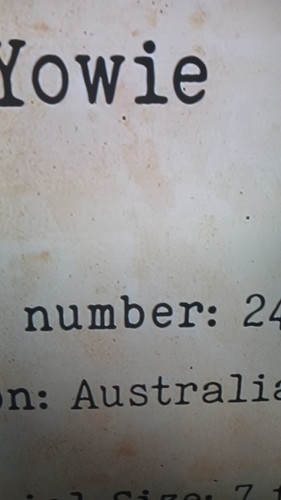 temp 1771105645524.jpg