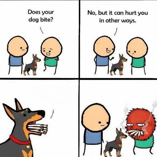dog.png