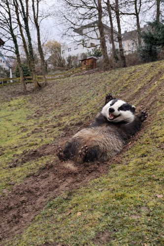 WhatsApp Image 2026 02 14 at 22.54.19.jpg