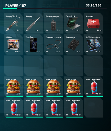 FiveM GTAProcess 8W8bfBf9lJ.png