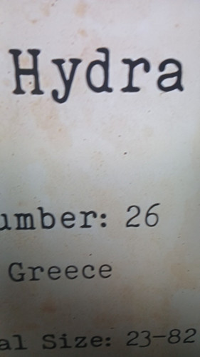 temp 1771105803550.jpg