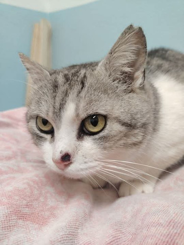 FB IMG 1771105263808.jpg