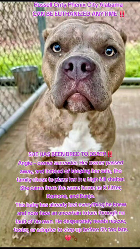 45SJbd8xS 4NlDnJ.jpg