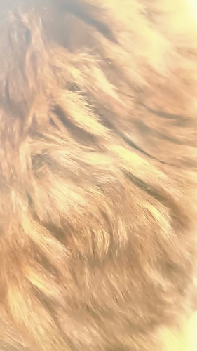 WCFP 2MZwm I0yIi.jpg