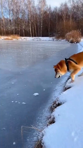 EwxLl7 WxQ6oOF6Z.jpg