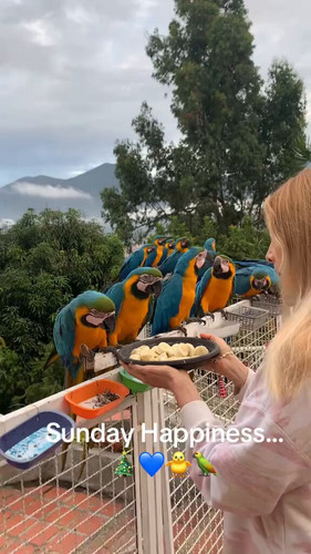 lG 2V8Tsu8dw2Sio.jpg