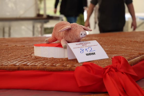 633901076 1400394305227632 8748614662086834208 n.jpg?stp=dst jpg s590x590 tt6& nc cat=106&ccb=1 7& n.jpg