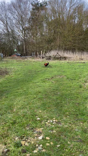 iQX XszaqyFVfCKJ.jpg