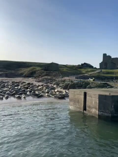 p 94E7juNNNaclRl.jpg