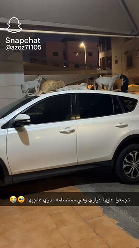 NI3 5ac8UAromTD .jpg