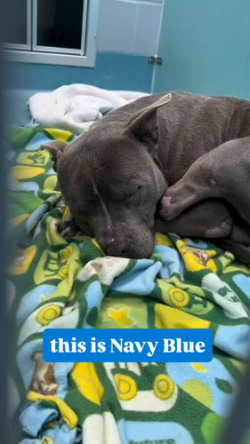 Bw1my mZW 4Ak6JJ.jpg