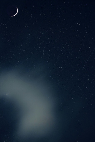 tip 20260212 130023.jpg