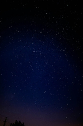 tip 20260212 130006.jpg