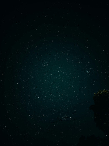 tip 20260212 130058.jpg