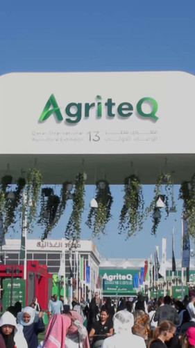 O5 u341gVywv4imb.jpg