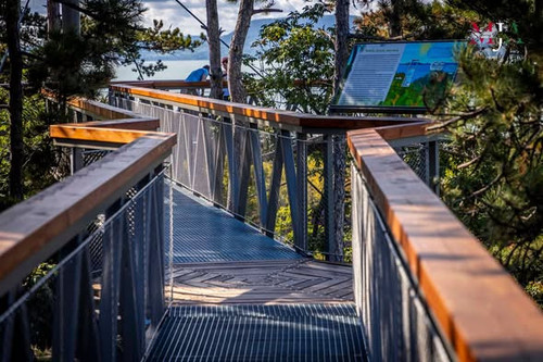 630231279 1285565753390624 4055047081624215932 n.jpg?stp=dst jpg s590x590 tt6& nc cat=101&ccb=1 7& n.jpg