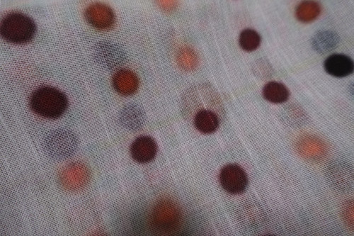 Image 1771138989251 641.jpg