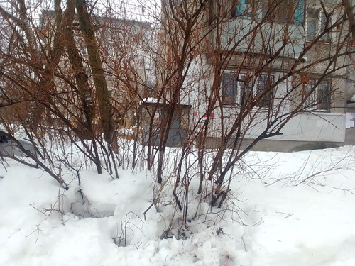 IMG 20260215 095845.jpg