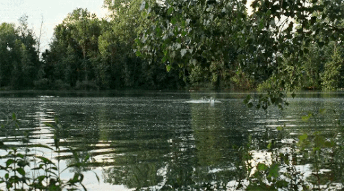 63cf6f6be943de57380d80a21e4a6067.gif