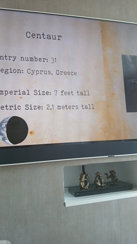 temp 1771158513408.jpg