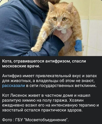HBEFCUfbgAAhOJ7?format=jpg.jpg