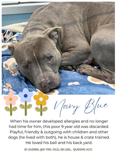 HAcEDdWasAAT Mj?format=jpg.jpg