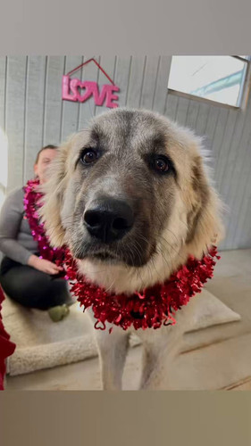 u CNF KWiil5GelT.jpg