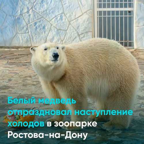 uNF8pTAU2Tz7sYdQ.jpg