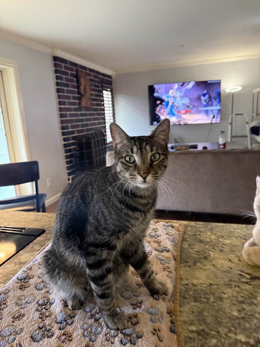 633250017 1477281683967527 7362794381547526907 n.jpg