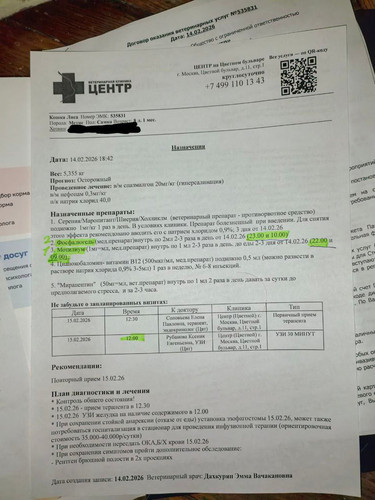 HBNqWaeasAAYTG ?format=jpg.jpg