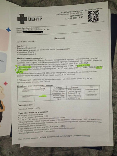 HBNqWbMWUAExP j?format=jpg.jpg