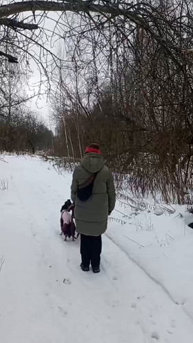 OAyeZKvQcNJZWV p.jpg