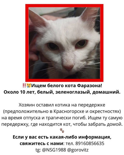 HBME cZbIAAySJe?format=jpg.jpg