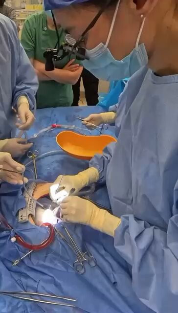 1dJ7 DSLB3uTW1E9.jpg