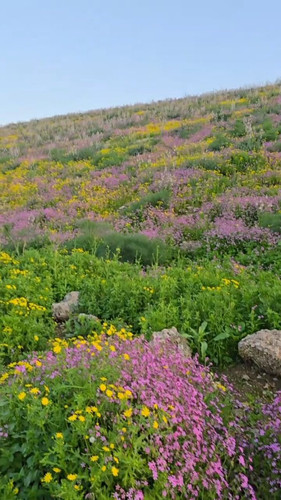 nW Ry2I PG4HGVBk.jpg