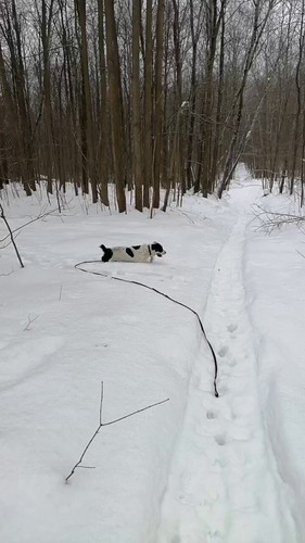 k 5dMBUO cVYce h.jpg